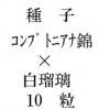 ҡץȥ˥ʶӡߡץȥ˥ʡǡ10γ<img class='new_mark_img2' src='https://img.shop-pro.jp/img/new/icons48.gif' style='border:none;display:inline;margin:0px;padding:0px;width:auto;' />