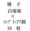 ҡץȥ˥ʡǡߡץȥ˥ʶӡ10γ<img class='new_mark_img2' src='https://img.shop-pro.jp/img/new/icons48.gif' style='border:none;display:inline;margin:0px;padding:0px;width:auto;' />