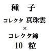 ҡ쥯ƿǡߡ쥯ӡ10γ<img class='new_mark_img2' src='https://img.shop-pro.jp/img/new/icons48.gif' style='border:none;display:inline;margin:0px;padding:0px;width:auto;' />