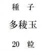 ҡ¿Ƕ̡20γ<img class='new_mark_img2' src='https://img.shop-pro.jp/img/new/icons48.gif' style='border:none;display:inline;margin:0px;padding:0px;width:auto;' />