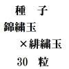 ҡӽ̡ߡ콫̡30γ<img class='new_mark_img2' src='https://img.shop-pro.jp/img/new/icons48.gif' style='border:none;display:inline;margin:0px;padding:0px;width:auto;' />