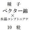 ҡ٥ӡߡ徽ץȥ˥ʡ10γ<img class='new_mark_img2' src='https://img.shop-pro.jp/img/new/icons48.gif' style='border:none;display:inline;margin:0px;padding:0px;width:auto;' />