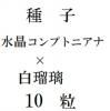 ҡ徽ץȥ˥ʡߡץȥ˥ʡǡ10γ<img class='new_mark_img2' src='https://img.shop-pro.jp/img/new/icons48.gif' style='border:none;display:inline;margin:0px;padding:0px;width:auto;' />