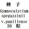 ҡGymnocalyciumspegazziniiv.punillense30γ<img class='new_mark_img2' src='https://img.shop-pro.jp/img/new/icons48.gif' style='border:none;display:inline;margin:0px;padding:0px;width:auto;' />