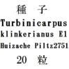 種子　Turbinicarpus klinkerianus E1 Huizache P2751　　20粒<img class='new_mark_img2' src='https://img.shop-pro.jp/img/new/icons48.gif' style='border:none;display:inline;margin:0px;padding:0px;width:auto;' />