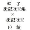 ҡ϶䴧̶ӡߡ϶䴧̡10γ<img class='new_mark_img2' src='https://img.shop-pro.jp/img/new/icons48.gif' style='border:none;display:inline;margin:0px;padding:0px;width:auto;' />