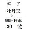 ҡð̡ߡ체ðӡ30γ<img class='new_mark_img2' src='https://img.shop-pro.jp/img/new/icons48.gif' style='border:none;display:inline;margin:0px;padding:0px;width:auto;' />