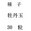 ҡð̡30γ<img class='new_mark_img2' src='https://img.shop-pro.jp/img/new/icons48.gif' style='border:none;display:inline;margin:0px;padding:0px;width:auto;' />