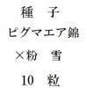 ҡԥޥӡߡԥޥʴǡ10γ<img class='new_mark_img2' src='https://img.shop-pro.jp/img/new/icons48.gif' style='border:none;display:inline;margin:0px;padding:0px;width:auto;' />