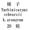 種子　Turbinicarpus schwarzii k.graugrun P.842　20粒<img class='new_mark_img2' src='https://img.shop-pro.jp/img/new/icons57.gif' style='border:none;display:inline;margin:0px;padding:0px;width:auto;' />
