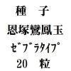 ҡ˱̡ʥ֥饿סˡ20γ<img class='new_mark_img2' src='https://img.shop-pro.jp/img/new/icons48.gif' style='border:none;display:inline;margin:0px;padding:0px;width:auto;' />