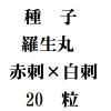 ҡݡֻɡɡˡ20γ<img class='new_mark_img2' src='https://img.shop-pro.jp/img/new/icons48.gif' style='border:none;display:inline;margin:0px;padding:0px;width:auto;' />
