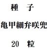 ҡúۺ20γ<img class='new_mark_img2' src='https://img.shop-pro.jp/img/new/icons58.gif' style='border:none;display:inline;margin:0px;padding:0px;width:auto;' />