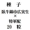 ҡӡʶҹ˼ߡ÷ۡˡ20γ<img class='new_mark_img2' src='https://img.shop-pro.jp/img/new/icons48.gif' style='border:none;display:inline;margin:0px;padding:0px;width:auto;' />