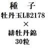 ҡð̡LB2178ߡ체ðӡ30γ<img class='new_mark_img2' src='https://img.shop-pro.jp/img/new/icons48.gif' style='border:none;display:inline;margin:0px;padding:0px;width:auto;' />