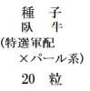 ҡ(ۡߥѡ)20γ<img class='new_mark_img2' src='https://img.shop-pro.jp/img/new/icons48.gif' style='border:none;display:inline;margin:0px;padding:0px;width:auto;' />