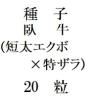 ҡ(ûܡå)20γ<img class='new_mark_img2' src='https://img.shop-pro.jp/img/new/icons1.gif' style='border:none;display:inline;margin:0px;padding:0px;width:auto;' />