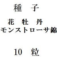 種子 花牡丹モンストローサ錦 10粒 - (株) 奈良多肉植物研究会 -多肉