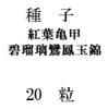 ҡյ˱̶ӡ20γ<img class='new_mark_img2' src='https://img.shop-pro.jp/img/new/icons48.gif' style='border:none;display:inline;margin:0px;padding:0px;width:auto;' />