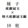 ҡ϶䴧̡϶䴧̶ӡ10γ<img class='new_mark_img2' src='https://img.shop-pro.jp/img/new/icons48.gif' style='border:none;display:inline;margin:0px;padding:0px;width:auto;' />