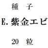 ҡE.ܡ20γ<img class='new_mark_img2' src='https://img.shop-pro.jp/img/new/icons5.gif' style='border:none;display:inline;margin:0px;padding:0px;width:auto;' />