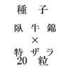 ҡӡå顡20γ<img class='new_mark_img2' src='https://img.shop-pro.jp/img/new/icons5.gif' style='border:none;display:inline;margin:0px;padding:0px;width:auto;' />