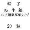 ҡ ҹûոեס20γ<img class='new_mark_img2' src='https://img.shop-pro.jp/img/new/icons48.gif' style='border:none;display:inline;margin:0px;padding:0px;width:auto;' />