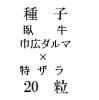 ҡ(ҹޡå)20γ<img class='new_mark_img2' src='https://img.shop-pro.jp/img/new/icons48.gif' style='border:none;display:inline;margin:0px;padding:0px;width:auto;' />