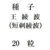 ҡȡ(ûɰ)20γ<img class='new_mark_img2' src='https://img.shop-pro.jp/img/new/icons48.gif' style='border:none;display:inline;margin:0px;padding:0px;width:auto;' />