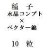 ҡ徽ץȡߡ٥ӡ10γ<img class='new_mark_img2' src='https://img.shop-pro.jp/img/new/icons48.gif' style='border:none;display:inline;margin:0px;padding:0px;width:auto;' />