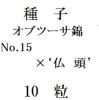 ҡ֥ġӡNo.15ߡ֥ġʩƬǡ10γ<img class='new_mark_img2' src='https://img.shop-pro.jp/img/new/icons5.gif' style='border:none;display:inline;margin:0px;padding:0px;width:auto;' />