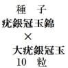 ҡ϶䴧̶ӡߡ϶䴧̡10γ<img class='new_mark_img2' src='https://img.shop-pro.jp/img/new/icons5.gif' style='border:none;display:inline;margin:0px;padding:0px;width:auto;' />