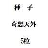 ҡŷ5γ<img class='new_mark_img2' src='https://img.shop-pro.jp/img/new/icons48.gif' style='border:none;display:inline;margin:0px;padding:0px;width:auto;' />