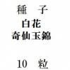 ҡ̶ִӡ10γ<img class='new_mark_img2' src='https://img.shop-pro.jp/img/new/icons57.gif' style='border:none;display:inline;margin:0px;padding:0px;width:auto;' />