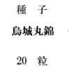 種子　烏城丸錦　20粒<img class='new_mark_img2' src='https://img.shop-pro.jp/img/new/icons5.gif' style='border:none;display:inline;margin:0px;padding:0px;width:auto;' />