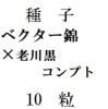 ҡ٥ӡߡϷץȡ10γ<img class='new_mark_img2' src='https://img.shop-pro.jp/img/new/icons48.gif' style='border:none;display:inline;margin:0px;padding:0px;width:auto;' />