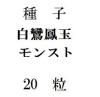 ҡ˱̥󥹥  20γ<img class='new_mark_img2' src='https://img.shop-pro.jp/img/new/icons48.gif' style='border:none;display:inline;margin:0px;padding:0px;width:auto;' />