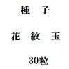 ҡ̡30γ<img class='new_mark_img2' src='https://img.shop-pro.jp/img/new/icons5.gif' style='border:none;display:inline;margin:0px;padding:0px;width:auto;' />