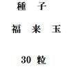 ҡʡ̡30γ