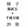 ҡ̡ȡ20γ<img class='new_mark_img2' src='https://img.shop-pro.jp/img/new/icons1.gif' style='border:none;display:inline;margin:0px;padding:0px;width:auto;' />