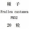 ҡFrailea castanea PR5220γ<img class='new_mark_img2' src='https://img.shop-pro.jp/img/new/icons1.gif' style='border:none;display:inline;margin:0px;padding:0px;width:auto;' />