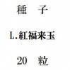 ҡʡ̡20γ