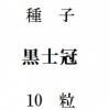 ҡδ  10γ<img class='new_mark_img2' src='https://img.shop-pro.jp/img/new/icons48.gif' style='border:none;display:inline;margin:0px;padding:0px;width:auto;' />