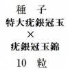 ҡ϶䴧̡϶䴧̶  10γ
<img class='new_mark_img2' src='https://img.shop-pro.jp/img/new/icons1.gif' style='border:none;display:inline;margin:0px;padding:0px;width:auto;' />