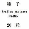 ҡFrailea castaneaFS48520γ
<img class='new_mark_img2' src='https://img.shop-pro.jp/img/new/icons1.gif' style='border:none;display:inline;margin:0px;padding:0px;width:auto;' />