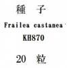 ҡFrailea castaneaKH87020γ
<img class='new_mark_img2' src='https://img.shop-pro.jp/img/new/icons1.gif' style='border:none;display:inline;margin:0px;padding:0px;width:auto;' />