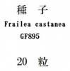 ҡFrailea castaneaGF89520γ
<img class='new_mark_img2' src='https://img.shop-pro.jp/img/new/icons1.gif' style='border:none;display:inline;margin:0px;padding:0px;width:auto;' />