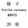 ҡFrailea castaneaKH87220γ
<img class='new_mark_img2' src='https://img.shop-pro.jp/img/new/icons1.gif' style='border:none;display:inline;margin:0px;padding:0px;width:auto;' />