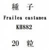 ҡFrailea castaneaKH88220γ
<img class='new_mark_img2' src='https://img.shop-pro.jp/img/new/icons1.gif' style='border:none;display:inline;margin:0px;padding:0px;width:auto;' />