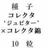 ҡ쥯ƥԥǡߡ쥯ӡ10γ<img class='new_mark_img2' src='https://img.shop-pro.jp/img/new/icons1.gif' style='border:none;display:inline;margin:0px;padding:0px;width:auto;' />